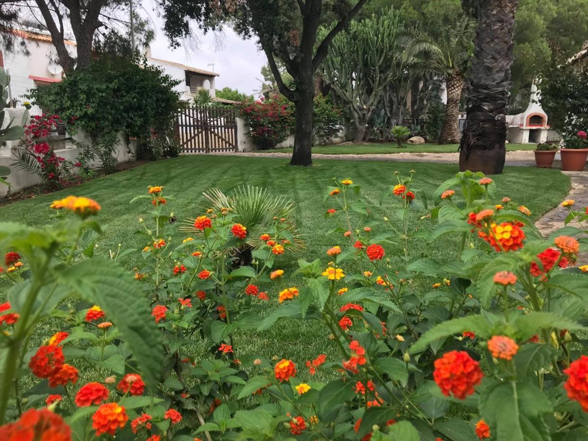 Villa Acquamarina Stella Di Mare Capitana Ngoại thất bức ảnh
